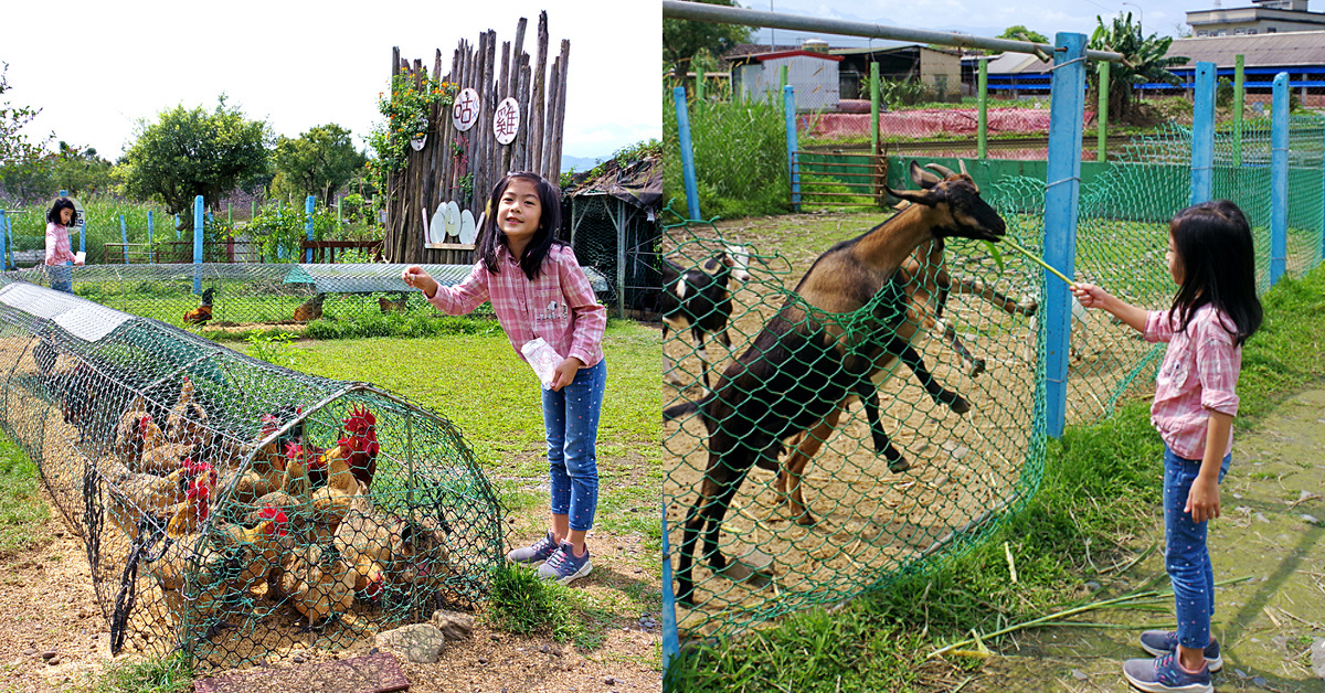 宜蘭員山親子景點》可達休閒羊場～免門票 超便宜餵動物農場～100 元可以餵羊喝奶吃草、餵雞、餵鴨、餵鵝、餵兔子、餵自己，還有羊奶冰淇淋 DIY｜宜蘭免費景點 @兔兒毛毛姊妹花