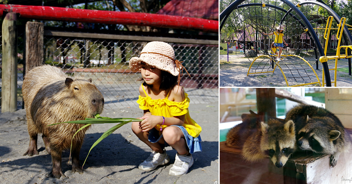 台南親子景點》頑皮世界野生動物園～近距離餵食水豚，一次看到300多種野生動物，還能玩遊樂園大型設施～南台灣最大野生動物園｜水豚互動體驗預約方式&#038;價格 @兔兒毛毛姊妹花