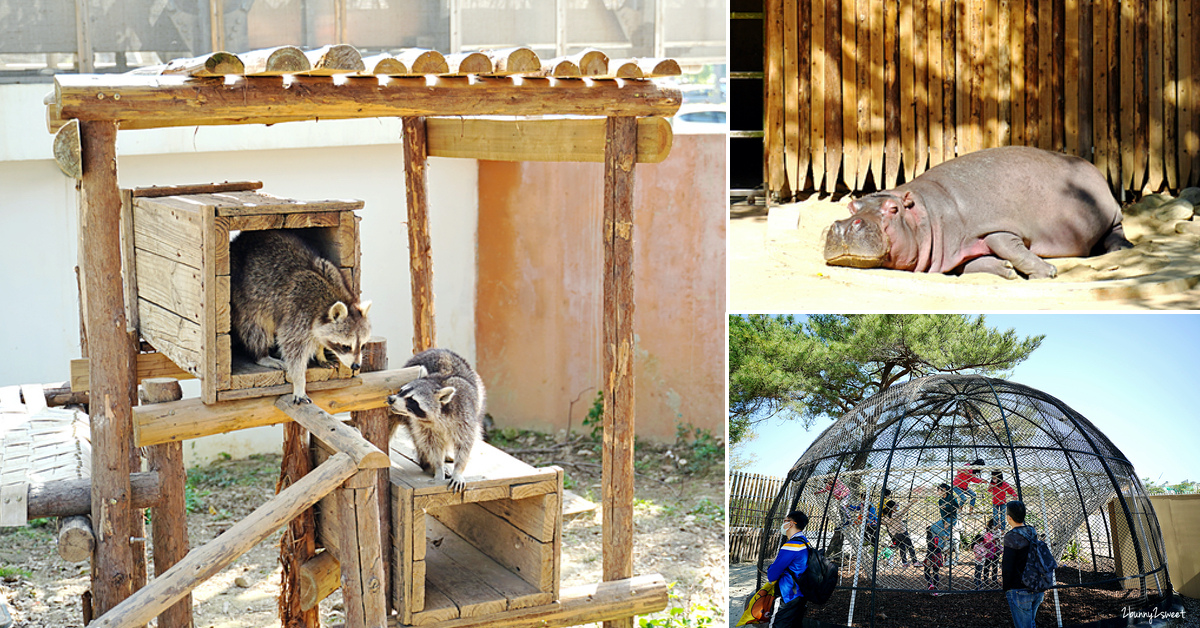 新竹景點【新竹市立動物園】全台最老動物園大變身，銅板價門票看動物、玩遊戲場 @兔兒毛毛姊妹花