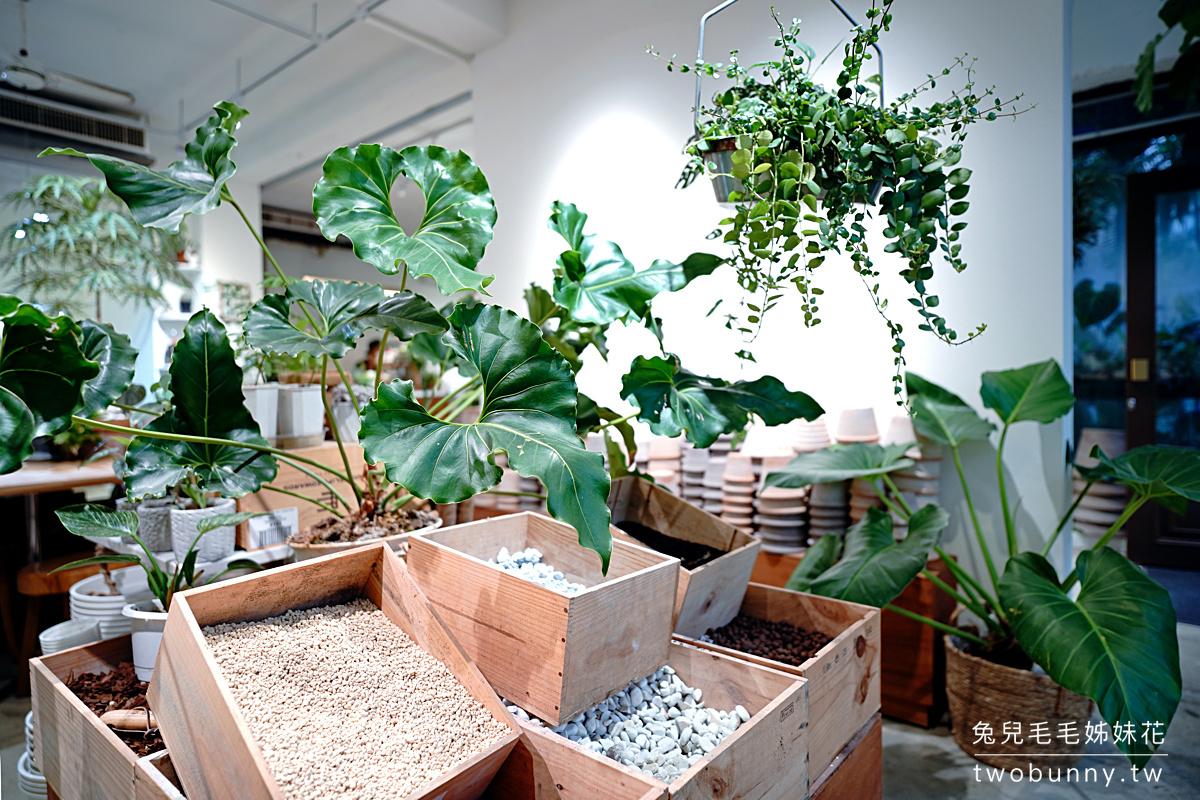 新竹市一日遊景點推薦｜不繞路玩8個景點～動物園、昆蟲館、遊戲場、DIY、逛夜市 @兔兒毛毛姊妹花