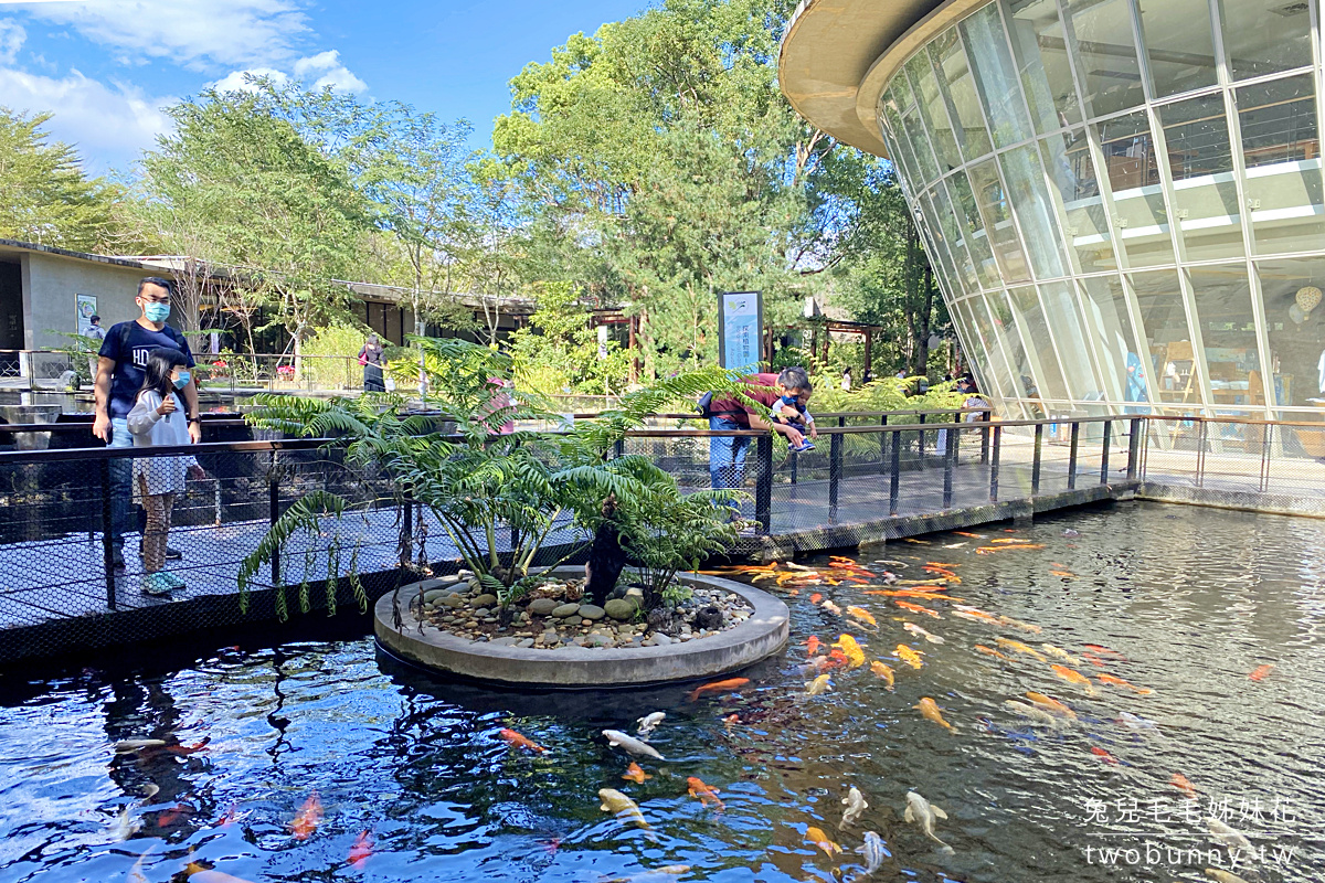 台東景點》鹿野一日遊必玩景點推薦～搭熱氣球、餵小動物、泡湯戲水、吃野菜鍋 @兔兒毛毛姊妹花