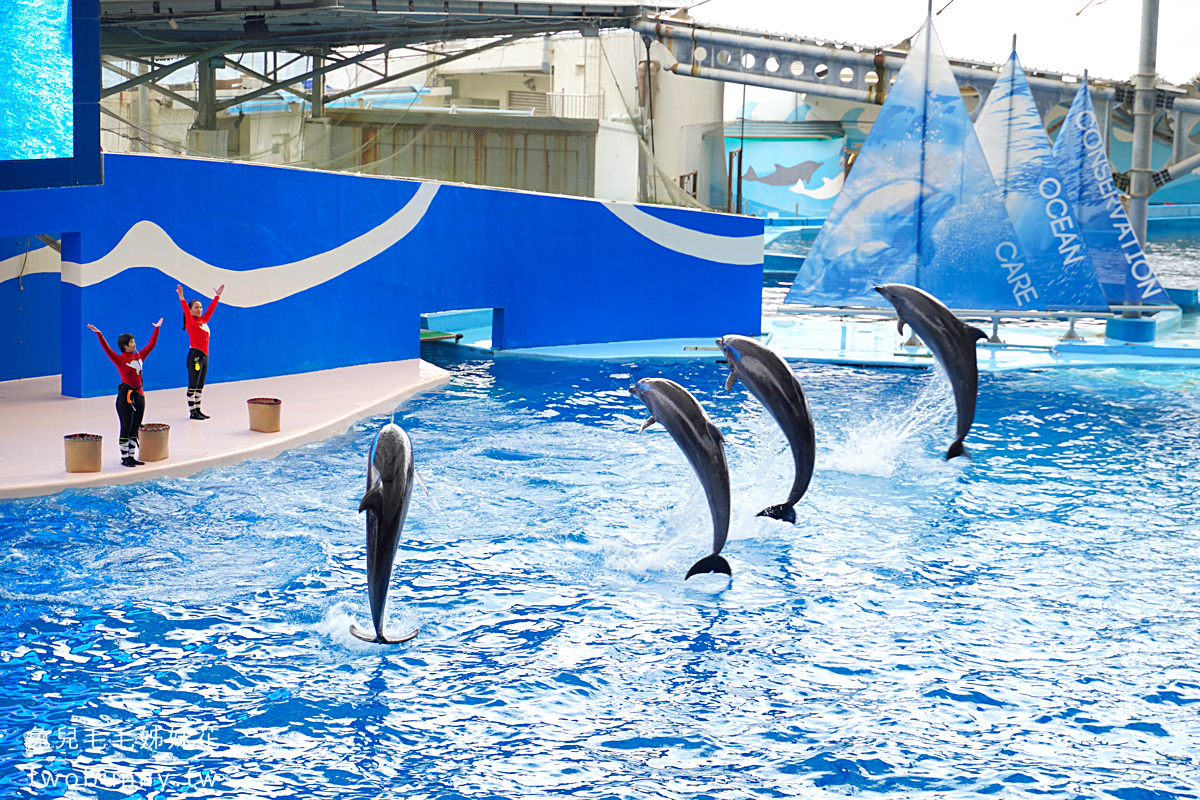 花蓮景點【遠雄海洋公園】全台最歡樂海洋主題樂園，2024全新海底王國設施登場 @兔兒毛毛姊妹花