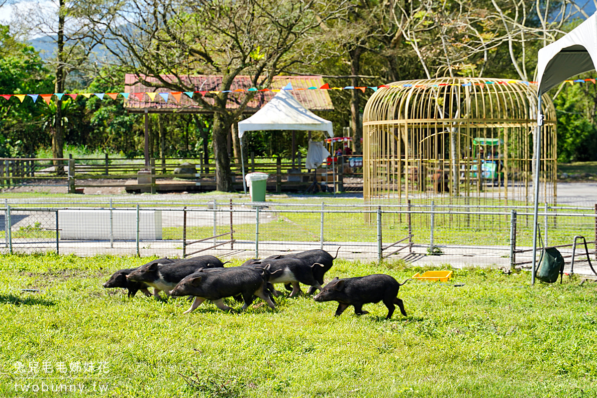 花蓮親子景點》新光兆豐農場～看浣熊、餵動物、遊樂設施放電～花東縱谷親子悠閒放風好去處 @兔兒毛毛姊妹花