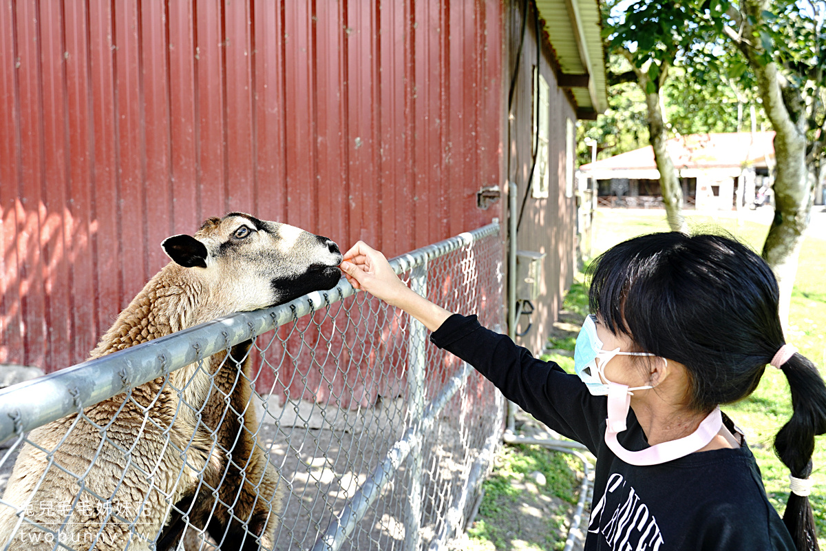 花蓮親子景點》新光兆豐農場～看浣熊、餵動物、遊樂設施放電～花東縱谷親子悠閒放風好去處 @兔兒毛毛姊妹花