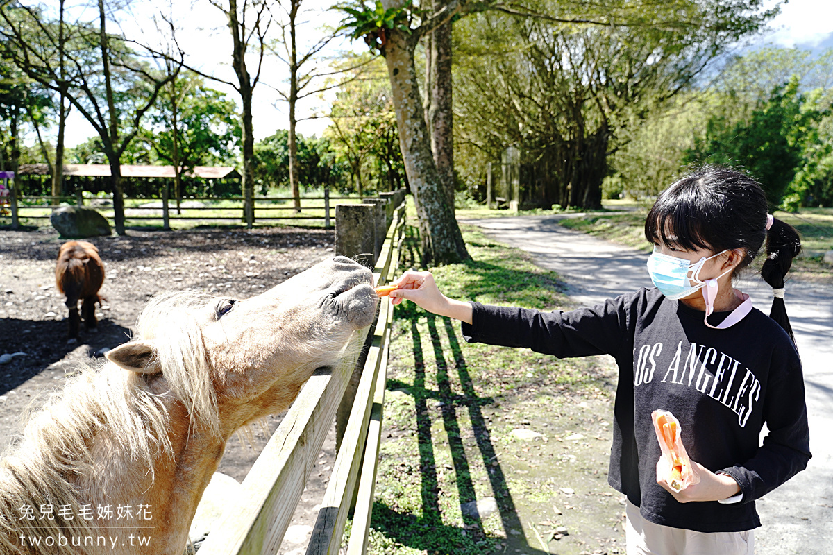 花蓮親子景點》新光兆豐農場～看浣熊、餵動物、遊樂設施放電～花東縱谷親子悠閒放風好去處 @兔兒毛毛姊妹花