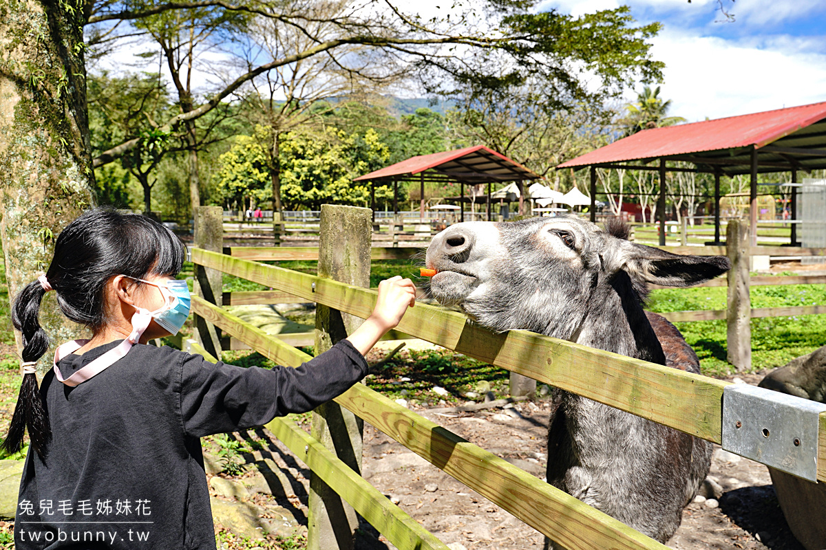 花蓮親子景點》新光兆豐農場～看浣熊、餵動物、遊樂設施放電～花東縱谷親子悠閒放風好去處 @兔兒毛毛姊妹花