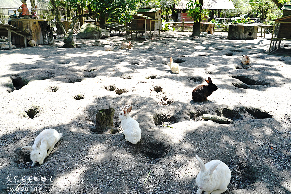 花蓮親子景點》新光兆豐農場～看浣熊、餵動物、遊樂設施放電～花東縱谷親子悠閒放風好去處 @兔兒毛毛姊妹花