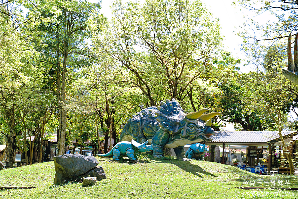 花蓮親子景點》新光兆豐農場～看浣熊、餵動物、遊樂設施放電～花東縱谷親子悠閒放風好去處 @兔兒毛毛姊妹花