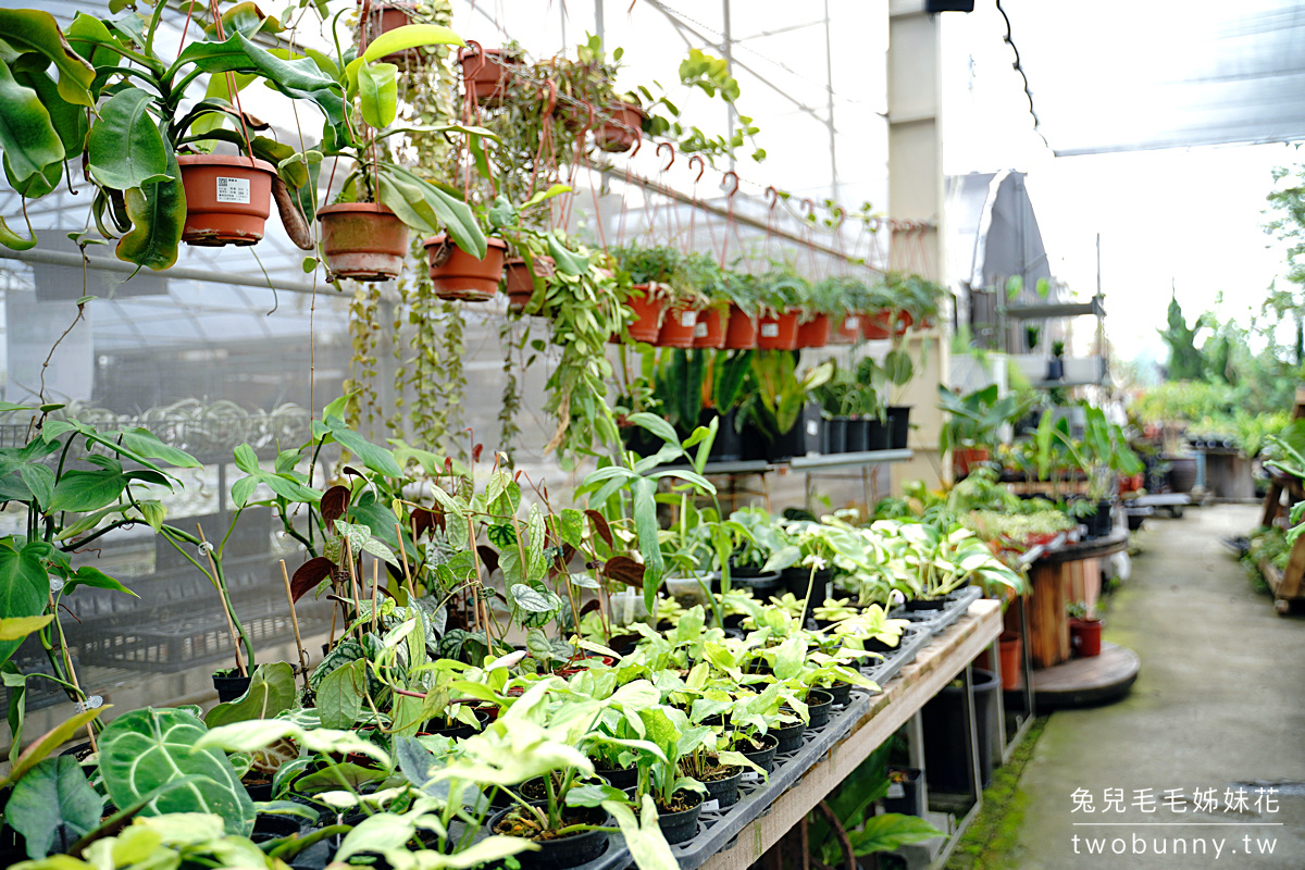 彰化景點》綠果庭院~免門票綠植貨櫃屋打卡小秘境，觀葉、多肉、空鳳、盆器一次買齊 @兔兒毛毛姊妹花