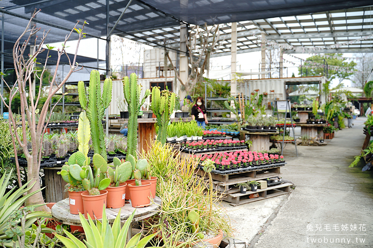 彰化景點》綠果庭院~免門票綠植貨櫃屋打卡小秘境，觀葉、多肉、空鳳、盆器一次買齊 @兔兒毛毛姊妹花