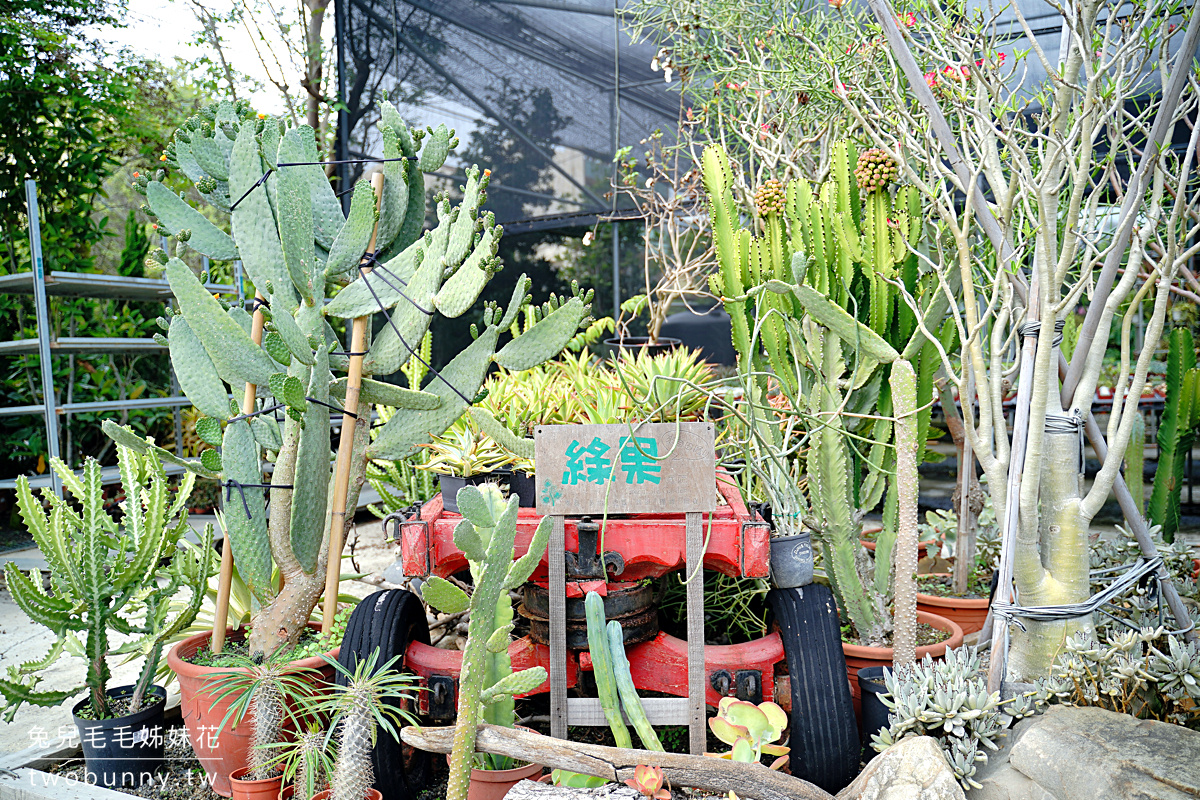 彰化景點》綠果庭院~免門票綠植貨櫃屋打卡小秘境，觀葉、多肉、空鳳、盆器一次買齊 @兔兒毛毛姊妹花