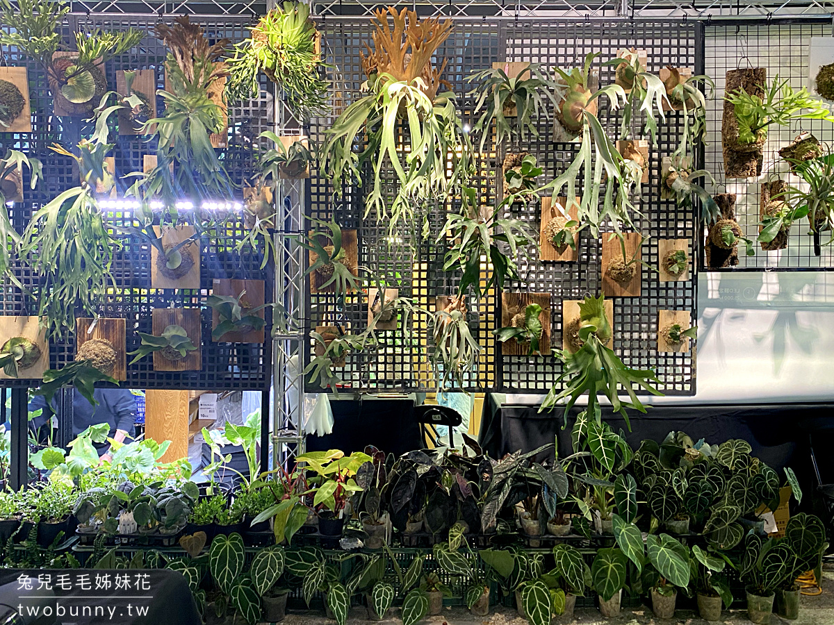 台北植物市集》台灣第一植物界 大型植物展覽市集，一次逛 60 家植物質感品牌 @兔兒毛毛姊妹花