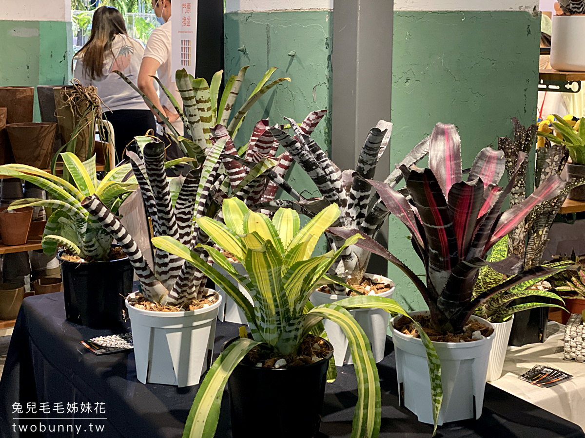 台北植物市集》台灣第一植物界 大型植物展覽市集，一次逛 60 家植物質感品牌 @兔兒毛毛姊妹花