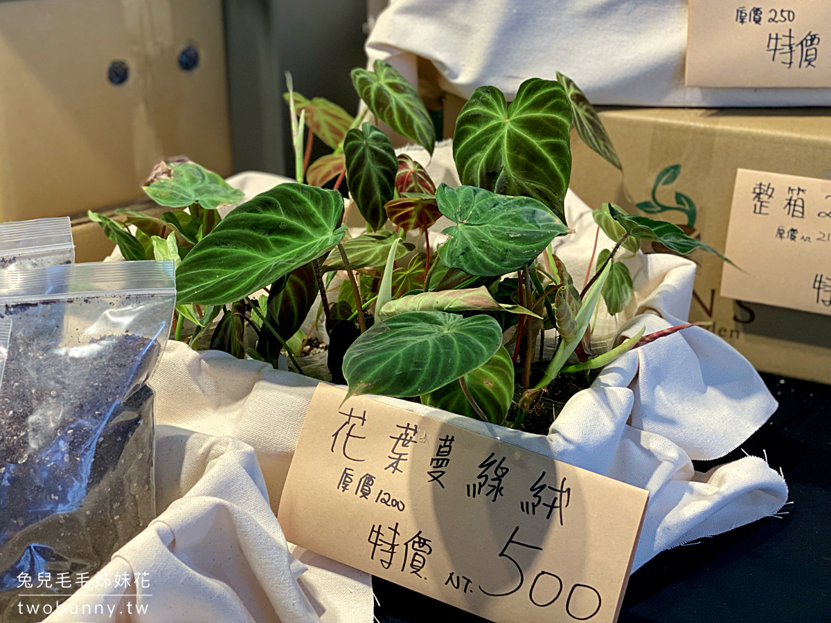 台北植物市集》台灣第一植物界 大型植物展覽市集，一次逛 60 家植物質感品牌 @兔兒毛毛姊妹花