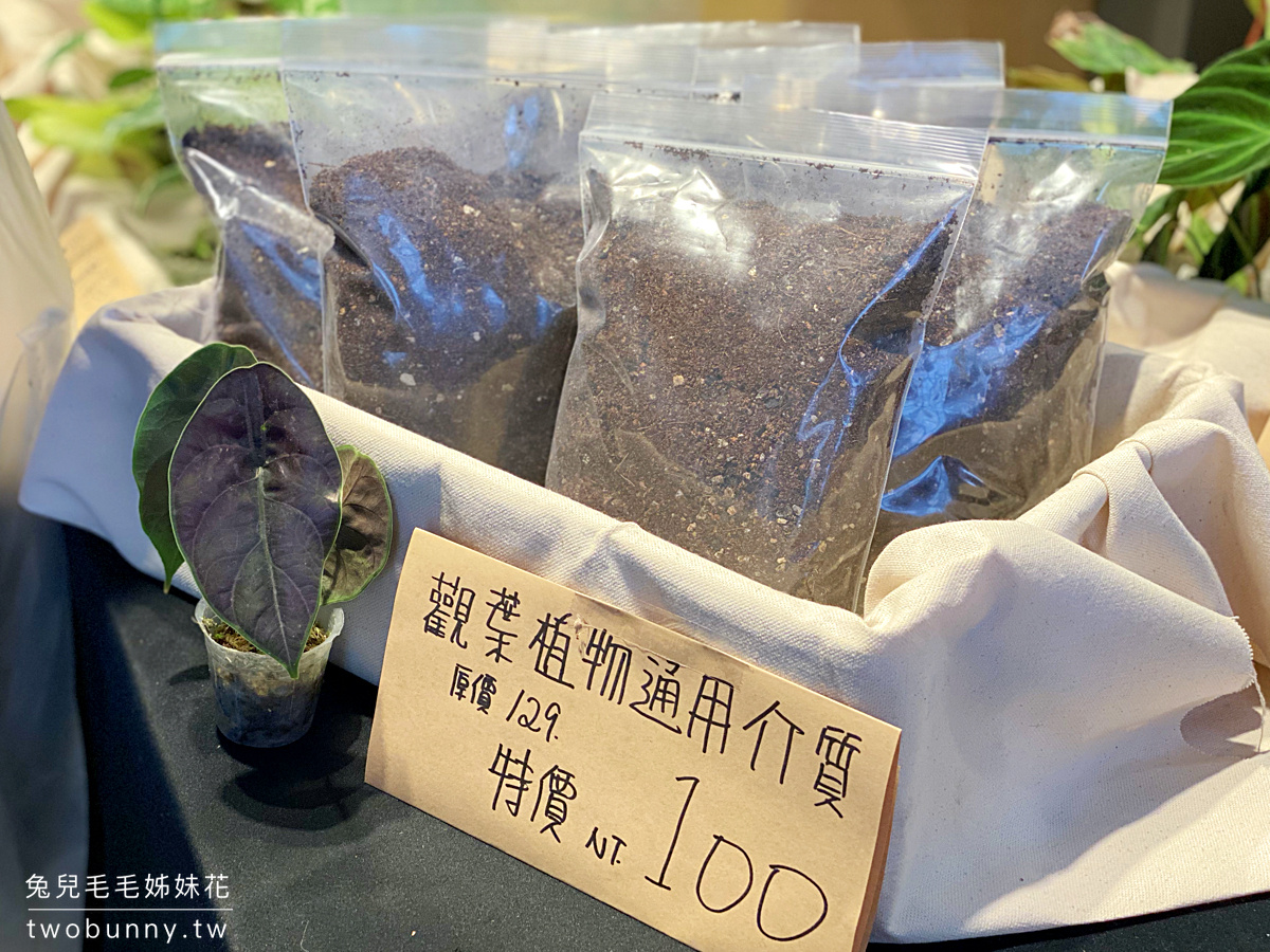 台北植物市集》台灣第一植物界 大型植物展覽市集，一次逛 60 家植物質感品牌 @兔兒毛毛姊妹花