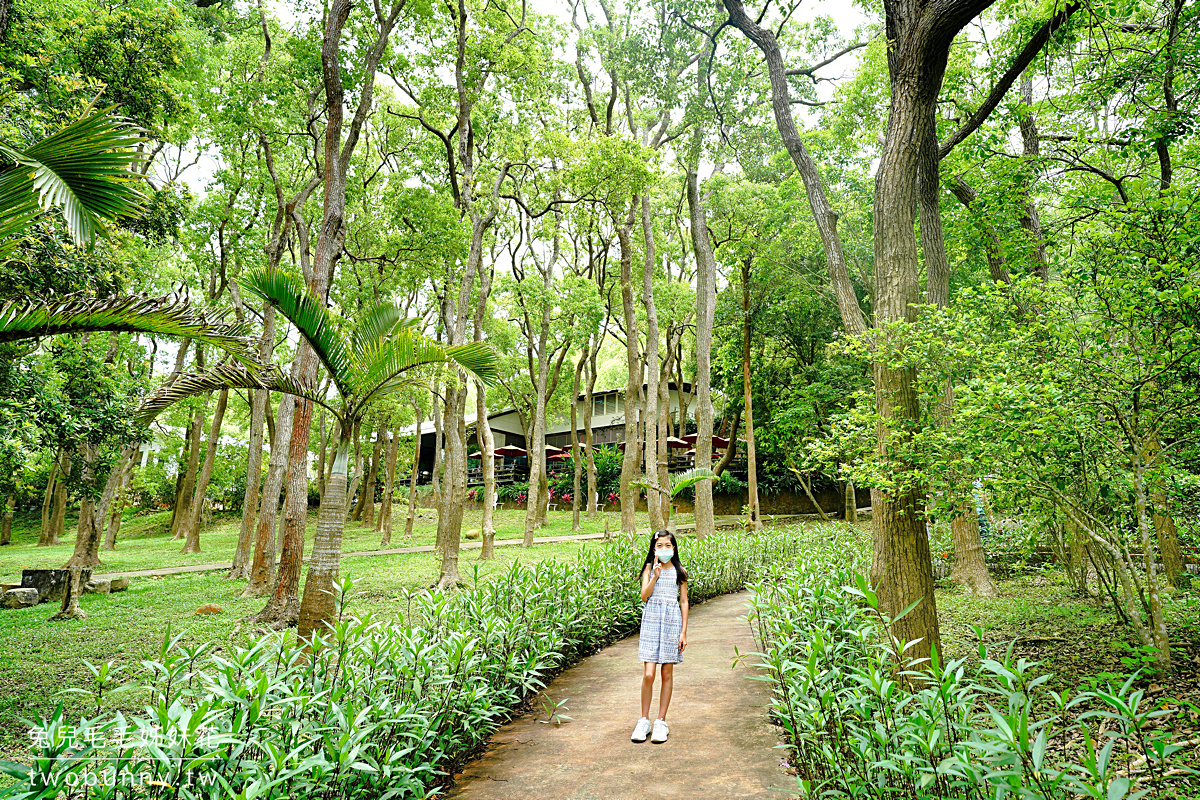 苗栗景點》上田咖啡莊園～超幽靜森林景觀餐廳桐花綻放中!! 欣賞五月雪好去處～ @兔兒毛毛姊妹花