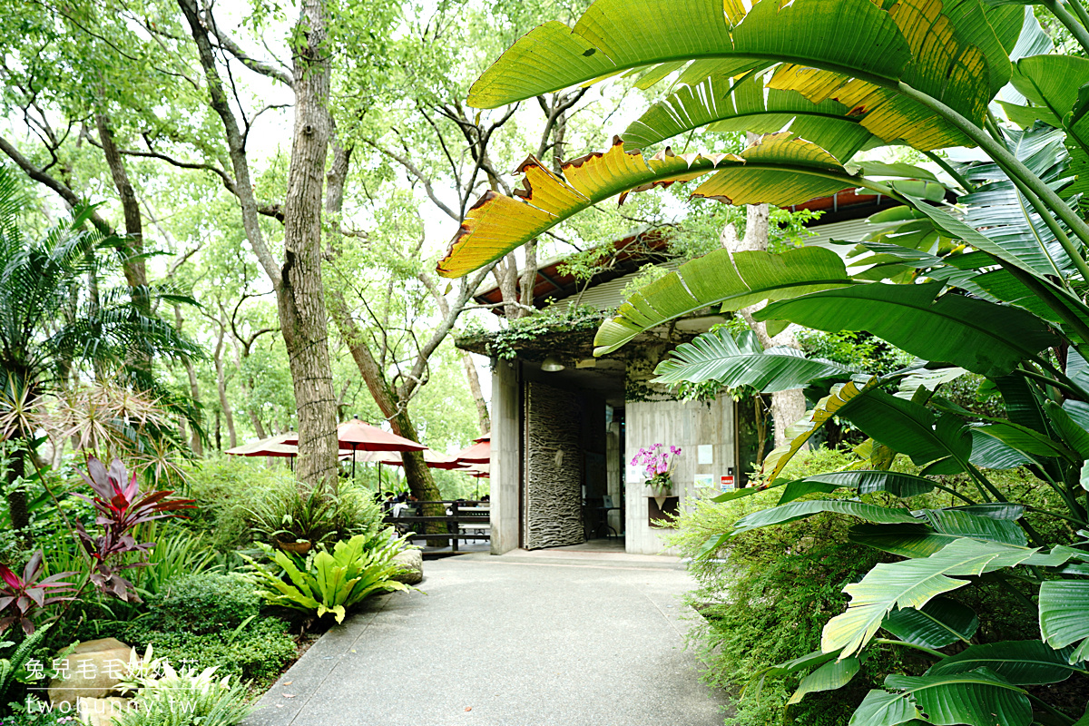 苗栗景點》上田咖啡莊園～超幽靜森林景觀餐廳桐花綻放中!! 欣賞五月雪好去處～ @兔兒毛毛姊妹花