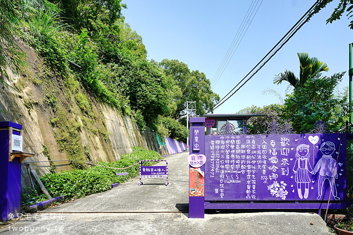 苗栗景點》噢哈娜咖啡屋～超夢幻紫色仙境景觀餐廳，紫藤、繡球花賞花秘境 @兔兒毛毛姊妹花