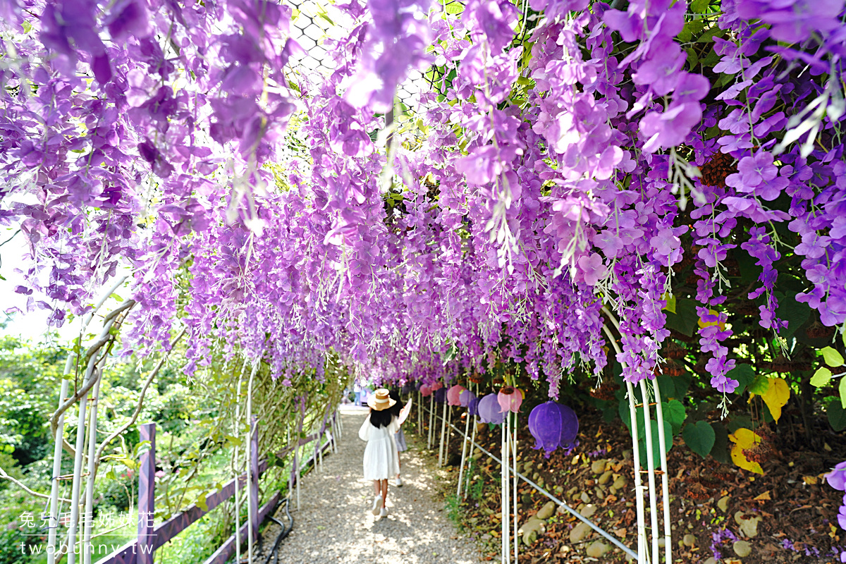 苗栗景點》噢哈娜咖啡屋～超夢幻紫色仙境景觀餐廳，紫藤、繡球花賞花秘境 @兔兒毛毛姊妹花