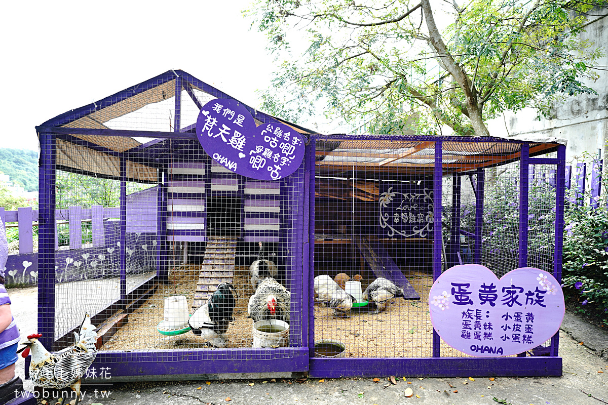 苗栗景點》噢哈娜咖啡屋～超夢幻紫色仙境景觀餐廳，紫藤、繡球花賞花秘境 @兔兒毛毛姊妹花