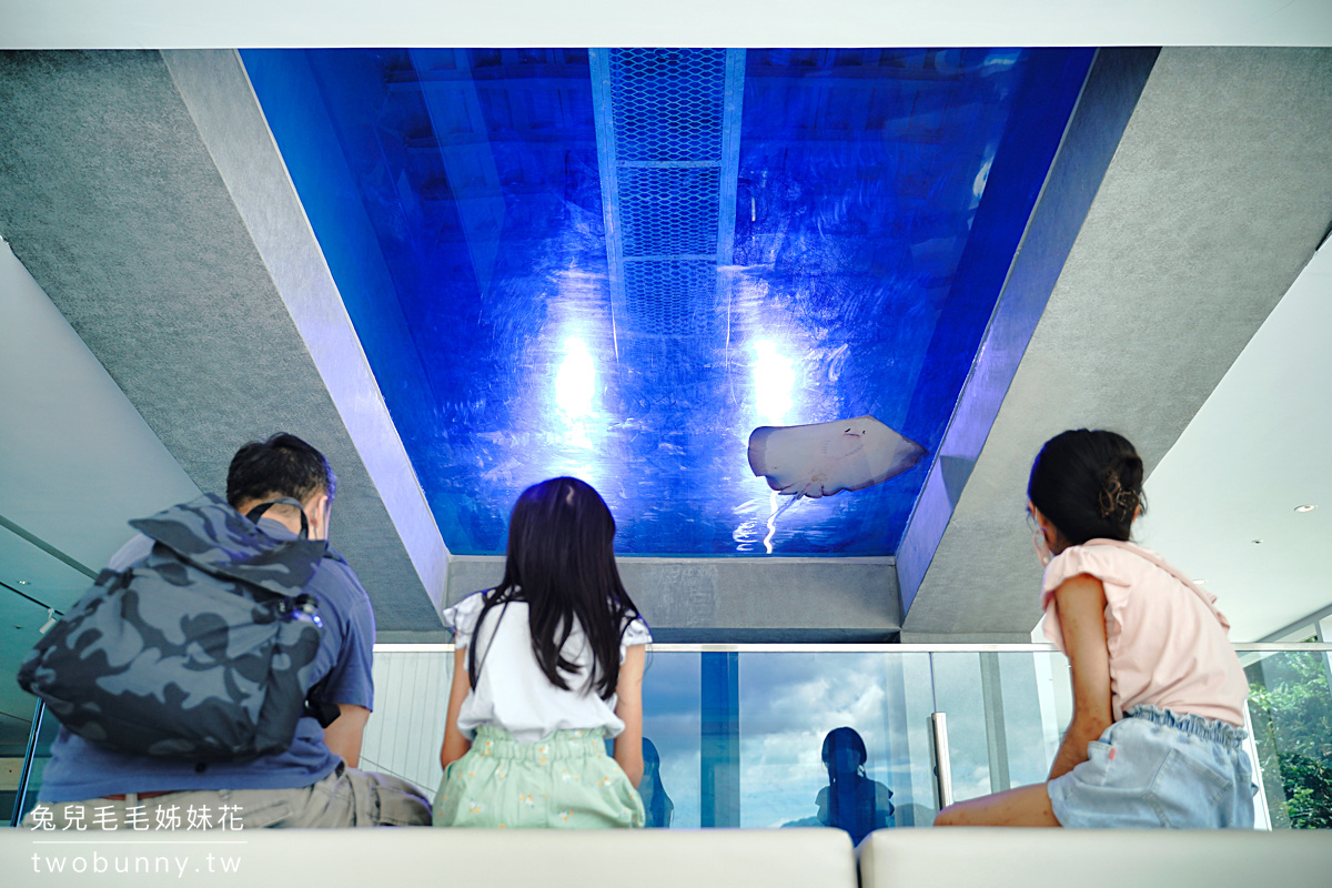 潮境智能海洋館｜基隆室內景點VR海底隧道、沈浸式海洋體驗，還能和超萌海豹玩遊戲 @兔兒毛毛姊妹花