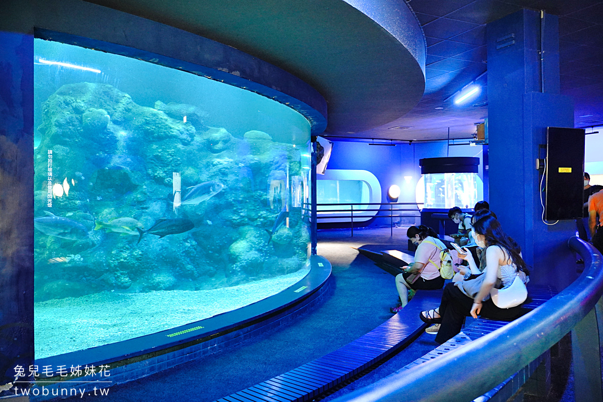 澎湖水族館｜ 澎湖室內景點～海豚大廳、海底隧道、海星觸摸池～好玩又好拍!! @兔兒毛毛姊妹花