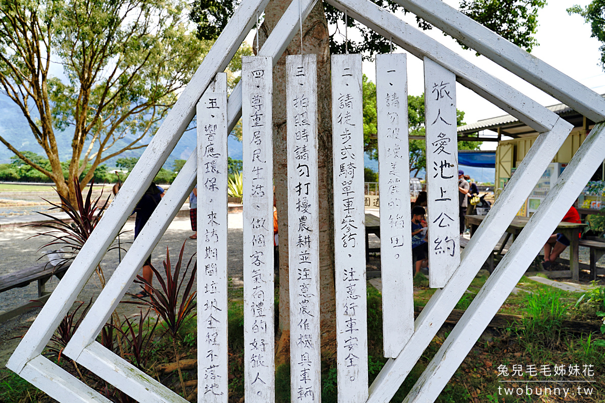 台東景點》池上伯朗大道自行車一日遊～必拍稻田畫框、金城武樹、天堂路鞦韆全收錄 @兔兒毛毛姊妹花