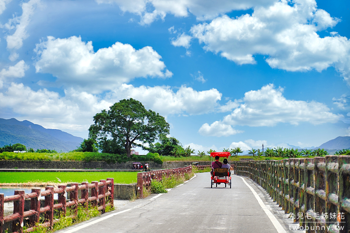 台東景點》池上伯朗大道自行車一日遊～必拍稻田畫框、金城武樹、天堂路鞦韆全收錄 @兔兒毛毛姊妹花