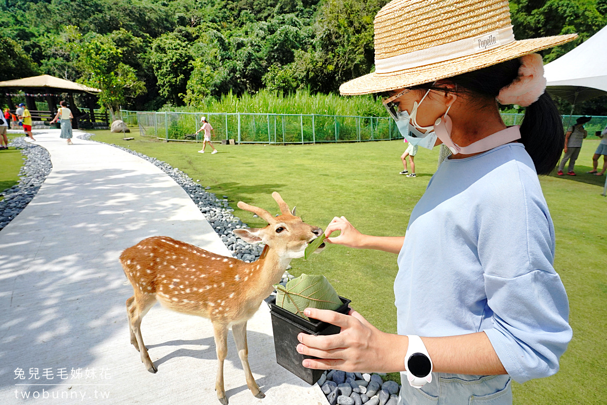 嘉義景點》逐鹿傳說梅花鹿園～來去阿里山腳下舒適乾淨的梅花鹿園區餵鹿鹿!! 優惠門票這樣買 @兔兒毛毛姊妹花