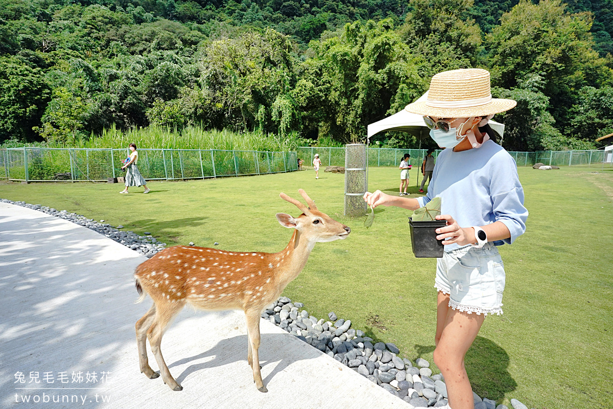 嘉義景點》逐鹿傳說梅花鹿園～來去阿里山腳下舒適乾淨的梅花鹿園區餵鹿鹿!! 優惠門票這樣買 @兔兒毛毛姊妹花