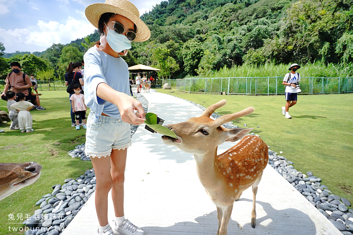 嘉義景點》逐鹿傳說梅花鹿園～來去阿里山腳下舒適乾淨的梅花鹿園區餵鹿鹿!! 優惠門票這樣買 @兔兒毛毛姊妹花