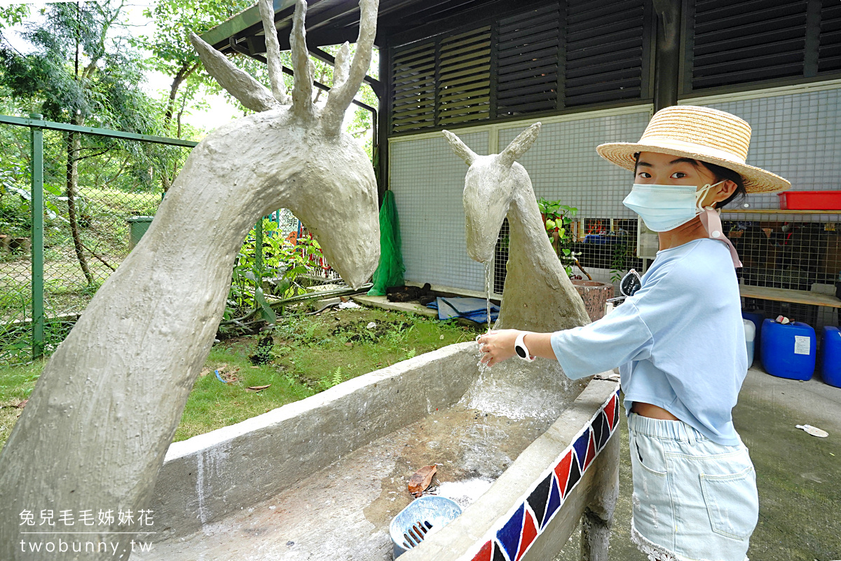 嘉義景點》逐鹿傳說梅花鹿園～來去阿里山腳下舒適乾淨的梅花鹿園區餵鹿鹿!! 優惠門票這樣買 @兔兒毛毛姊妹花