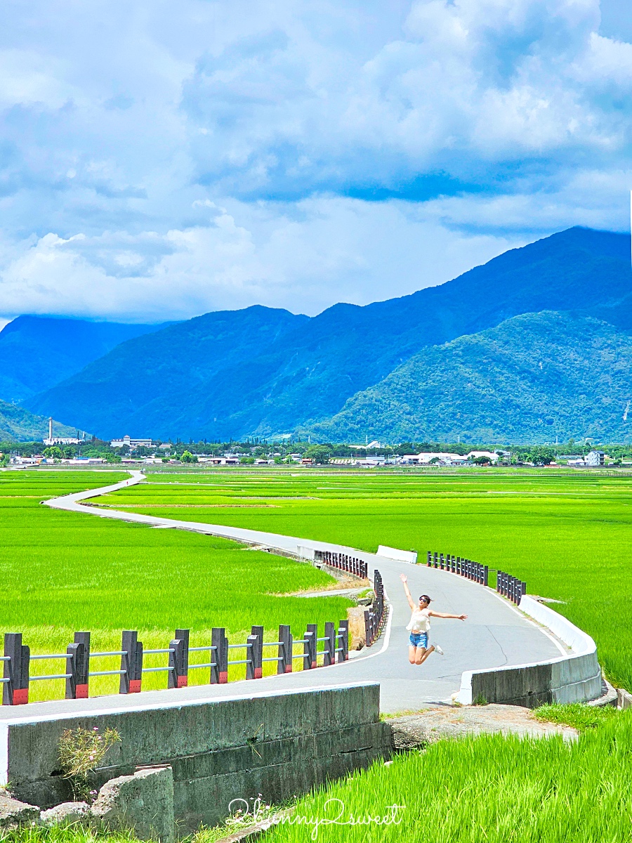 台東景點》池上伯朗大道自行車漫遊～必拍稻田畫框、金城武樹、天堂路鞦韆全收錄 @兔兒毛毛姊妹花