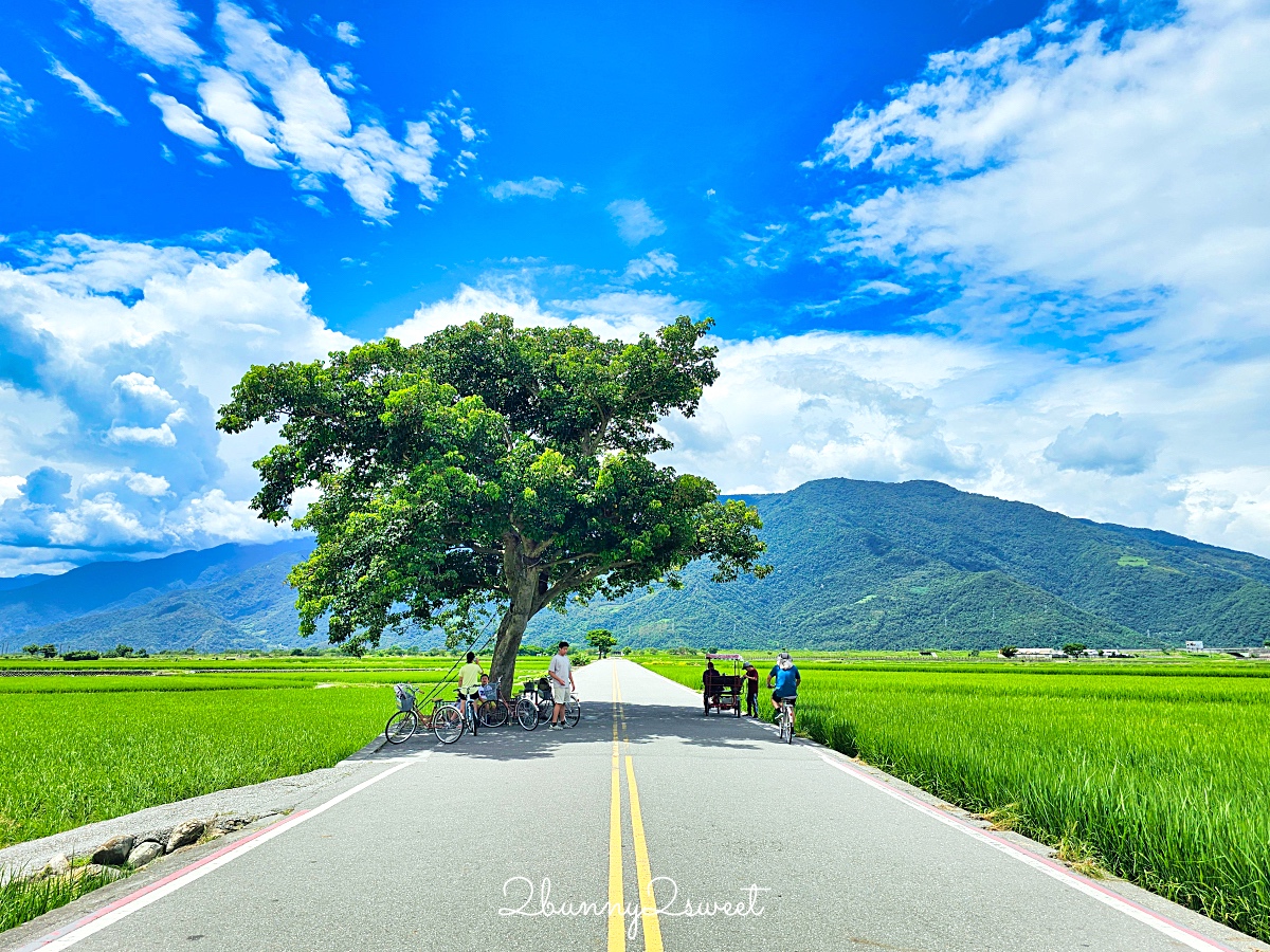 台東景點》池上伯朗大道自行車漫遊～必拍稻田畫框、金城武樹、天堂路鞦韆全收錄 @兔兒毛毛姊妹花