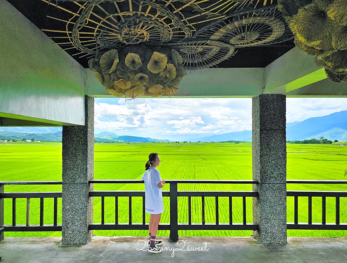 台東景點》池上伯朗大道自行車漫遊～必拍稻田畫框、金城武樹、天堂路鞦韆全收錄 @兔兒毛毛姊妹花