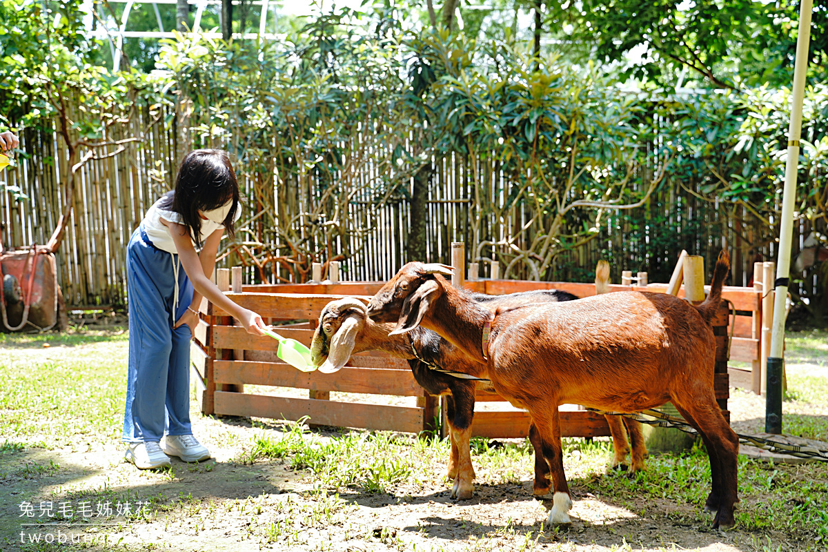 冬季限定!! 10 個必訪絕美「落羽松景點」推薦，落羽松大道、水上落羽松～漸層色夢幻森林 @兔兒毛毛姊妹花