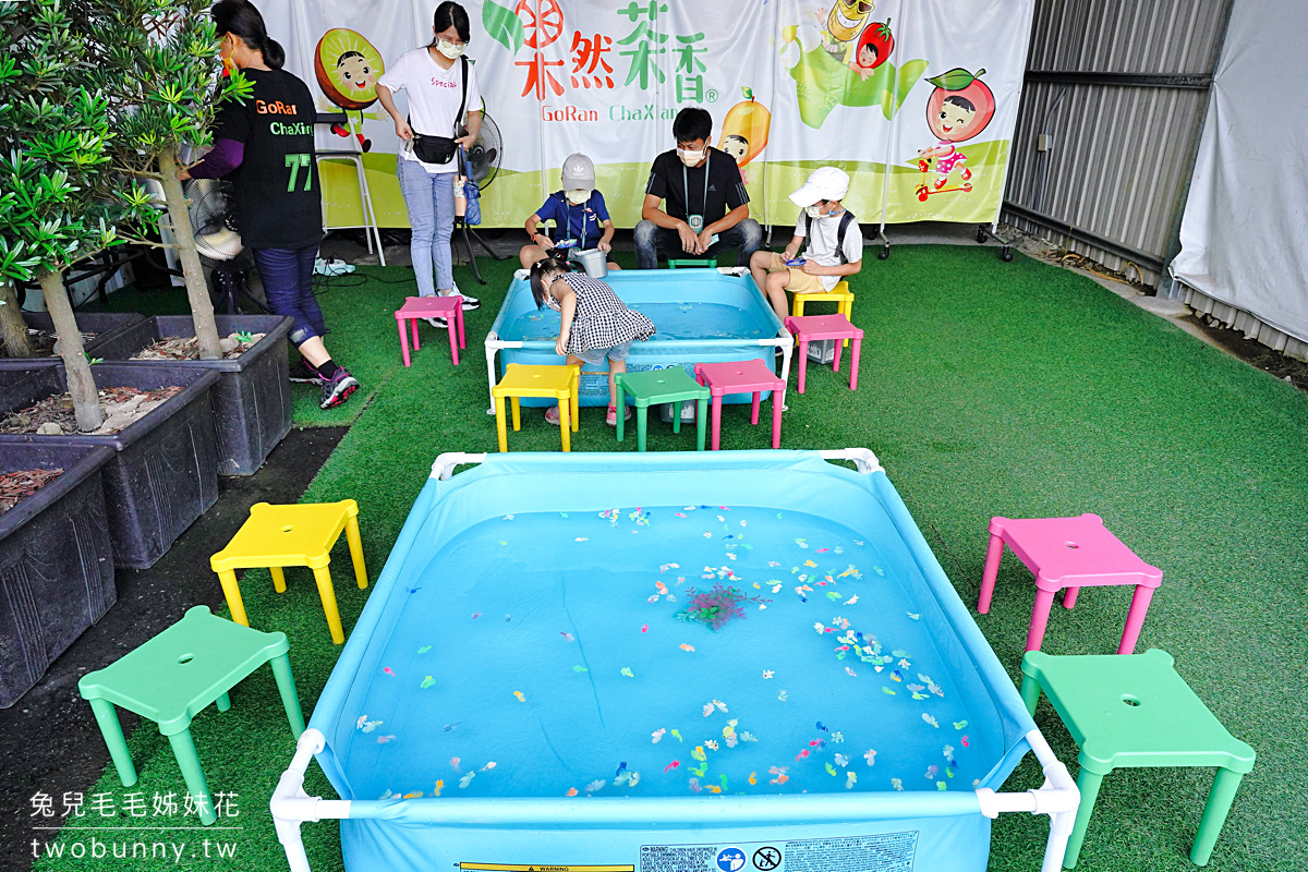 果然茶香觀光園區｜嘉義親子景點～阿里山必經道路上的觀光農園，親子採果放風好所在 @兔兒毛毛姊妹花