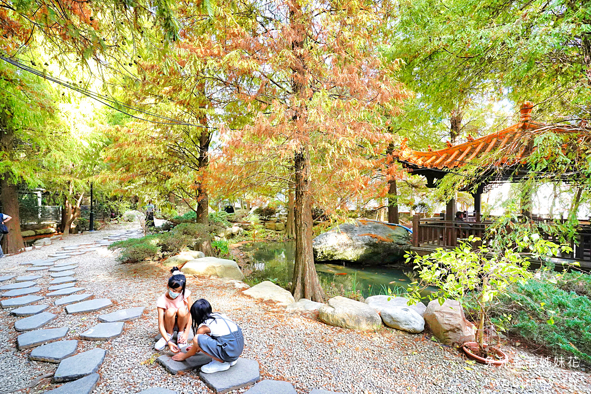 冬季限定!! 10 個必訪絕美「落羽松景點」推薦，落羽松大道、水上落羽松～漸層色夢幻森林 @兔兒毛毛姊妹花