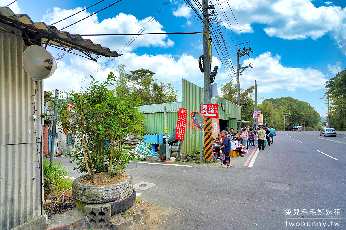 苗栗景點【三灣落羽松秘境】～300棵落羽松水上莊園免費逛、隨你拍!! @兔兒毛毛姊妹花