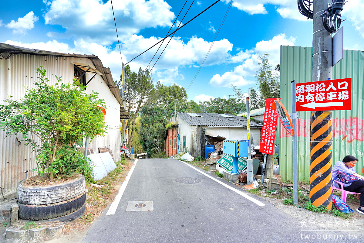 苗栗景點【三灣落羽松秘境】～300棵落羽松水上莊園免費逛、隨你拍!! @兔兒毛毛姊妹花