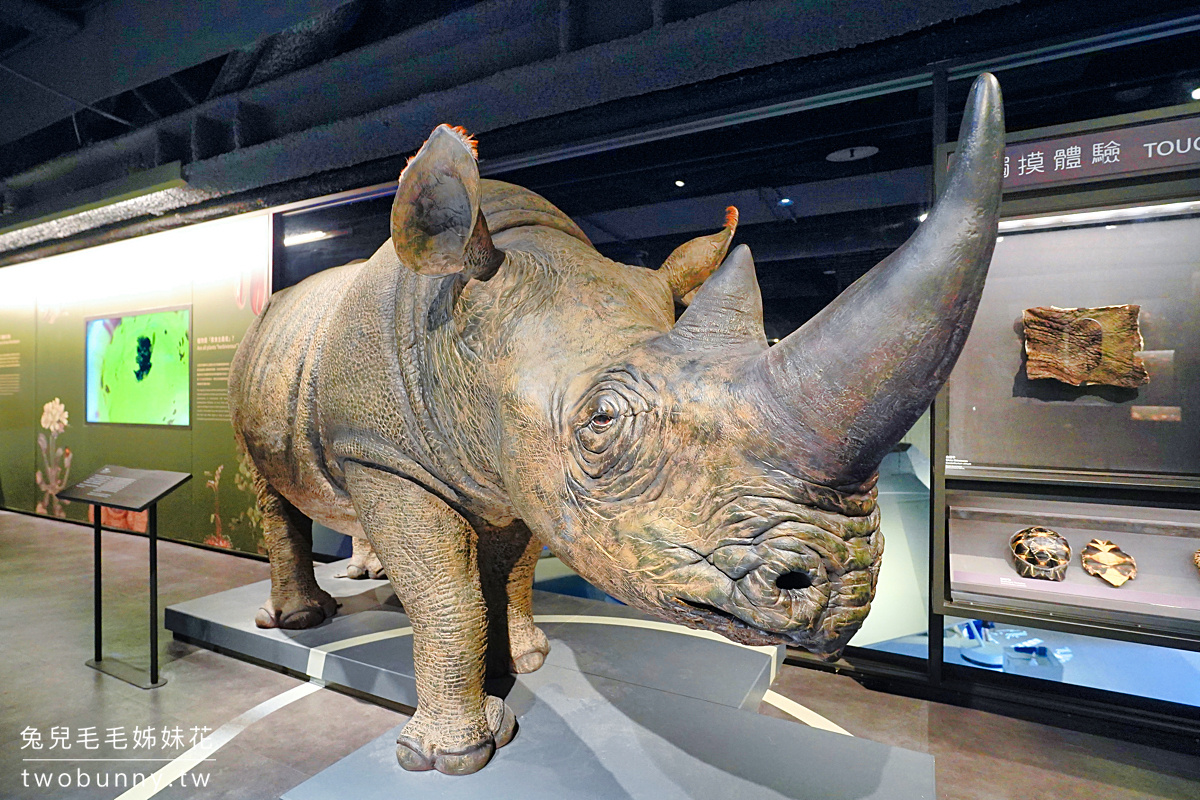 台北親子景點【科教館】全新「生物多樣性常設展」模型標本看到飽，還能觸摸穿山甲 @兔兒毛毛姊妹花