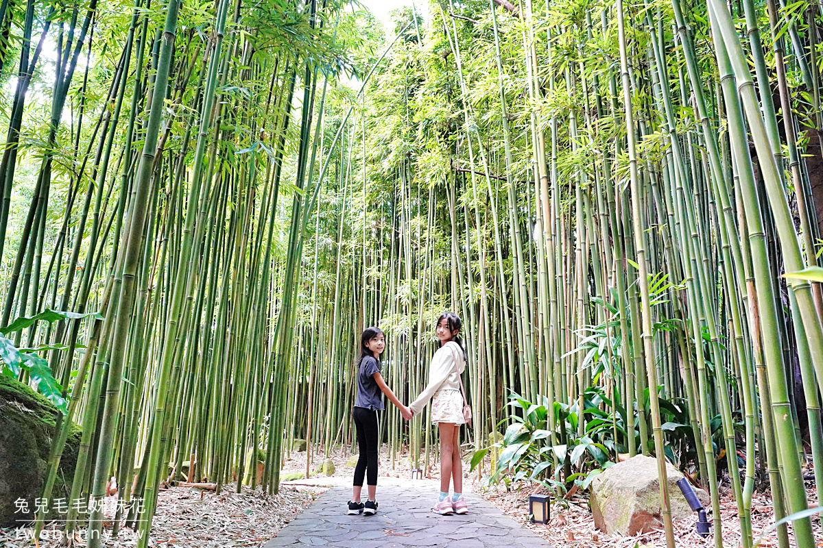 豆留森林｜搭公車就能抵達的竹林秘境，陽明山美軍宿舍旁的日式老屋咖啡廳 @兔兒毛毛姊妹花