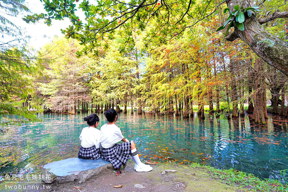 冬季限定!! 10 個必訪絕美「落羽松景點」推薦，落羽松大道、水上落羽松～漸層色夢幻森林 @兔兒毛毛姊妹花