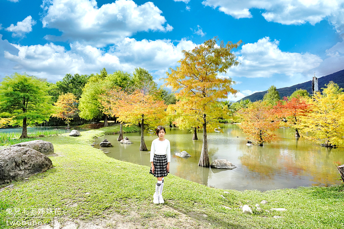 花蓮免費景點【松湖驛站】烤雞景觀餐廳也是免費落羽松秘境，4000坪松湖庭園超夢幻 @兔兒毛毛姊妹花