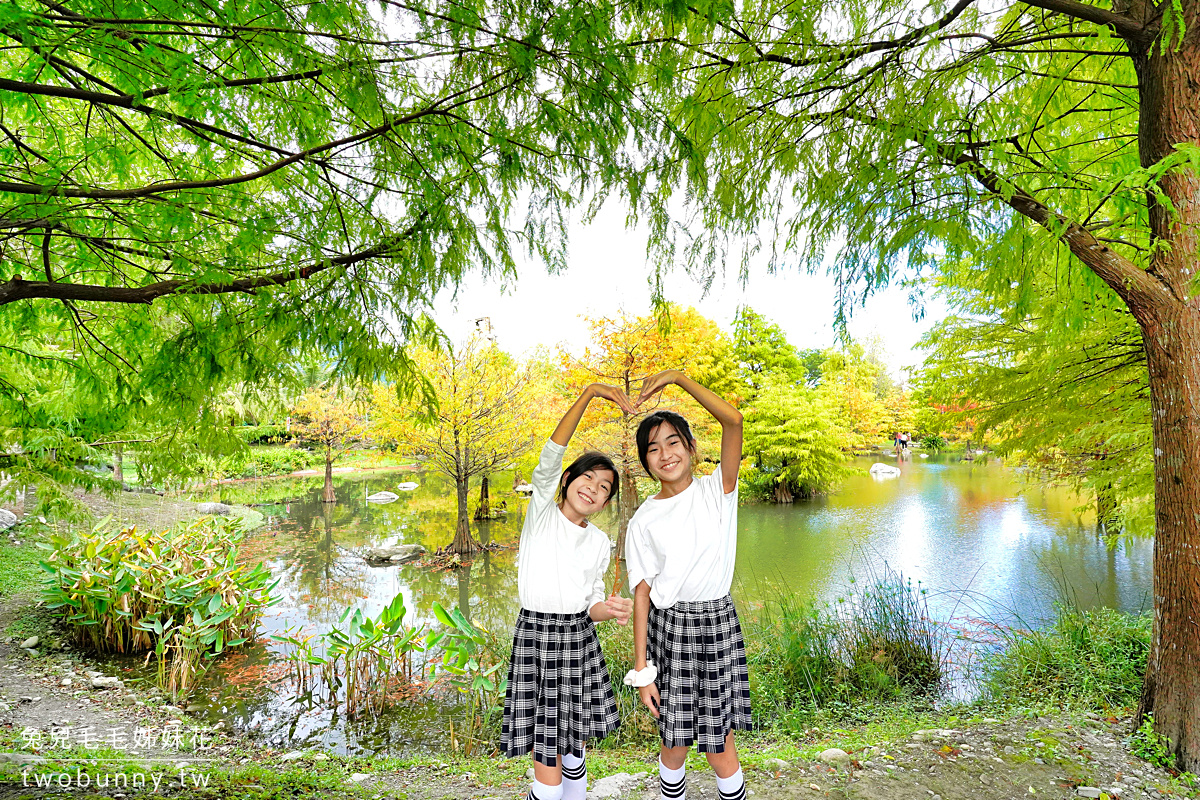 花蓮免費景點【松湖驛站】烤雞景觀餐廳也是免費落羽松秘境，4000坪松湖庭園超夢幻 @兔兒毛毛姊妹花