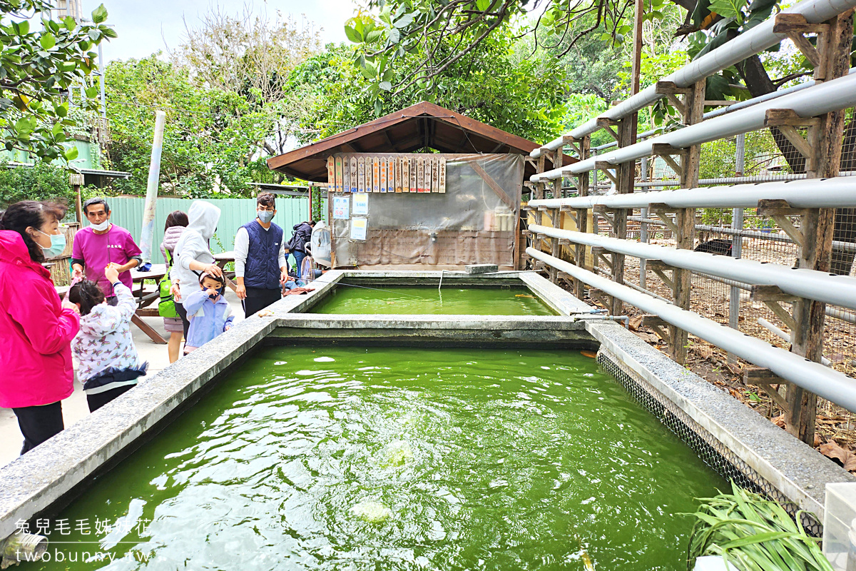 花蓮免費景點》華東牧場~花蓮市郊隱藏版免門票小牧場，好多動物可以餵還能吃桶仔雞!! @兔兒毛毛姊妹花