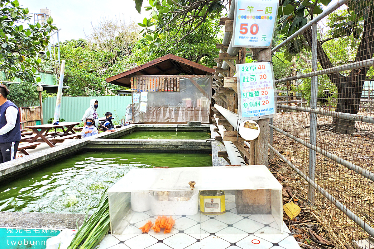 花蓮免費景點》華東牧場~花蓮市郊隱藏版免門票小牧場，好多動物可以餵還能吃桶仔雞!! @兔兒毛毛姊妹花