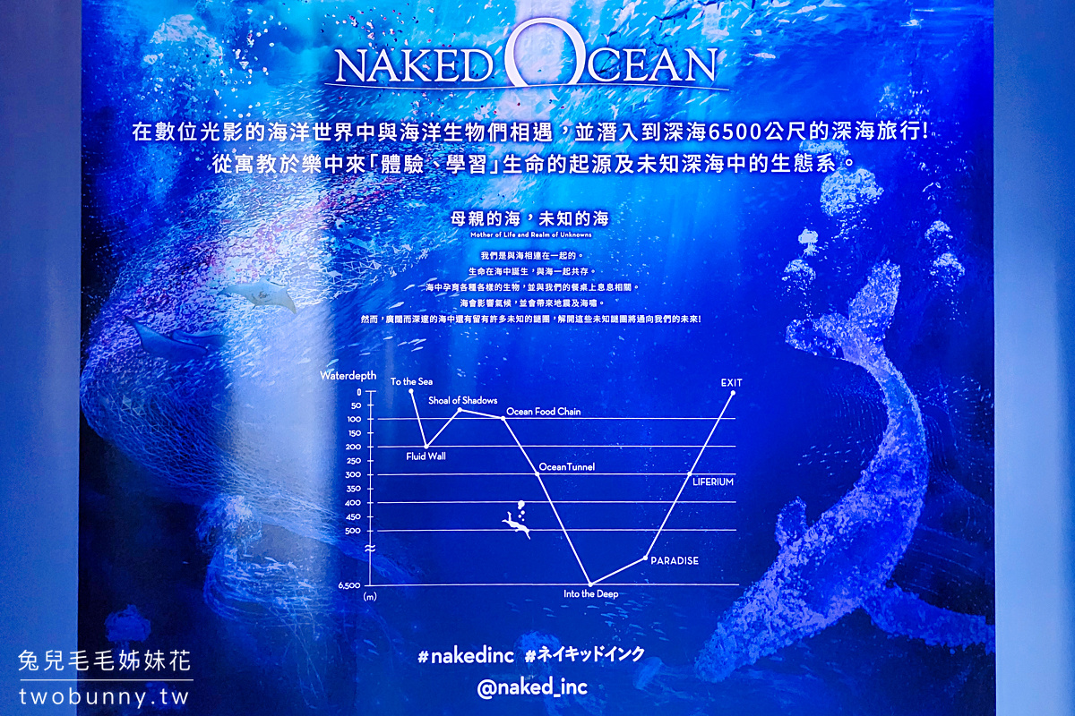 2023必看展覽》NAKED OCEAN 光之影海洋展～手機拍到停不下來的360度沈浸式夢幻海洋體驗 @兔兒毛毛姊妹花