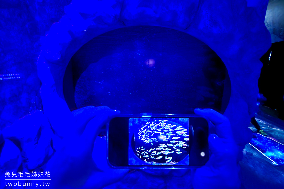 2023必看展覽》NAKED OCEAN 光之影海洋展～手機拍到停不下來的360度沈浸式夢幻海洋體驗 @兔兒毛毛姊妹花