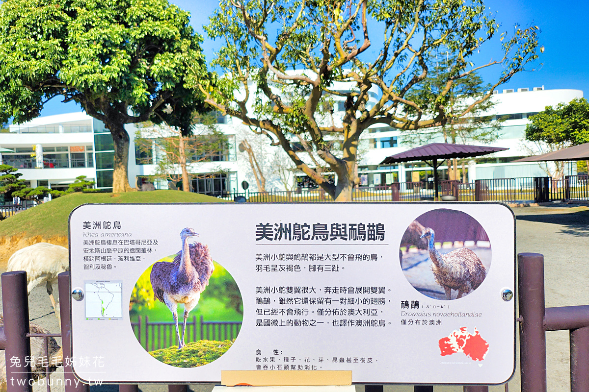 九九峰動物樂園｜亞洲最大鳥類主題樂園在南投!! 也有其他可愛動物和恐龍 @兔兒毛毛姊妹花